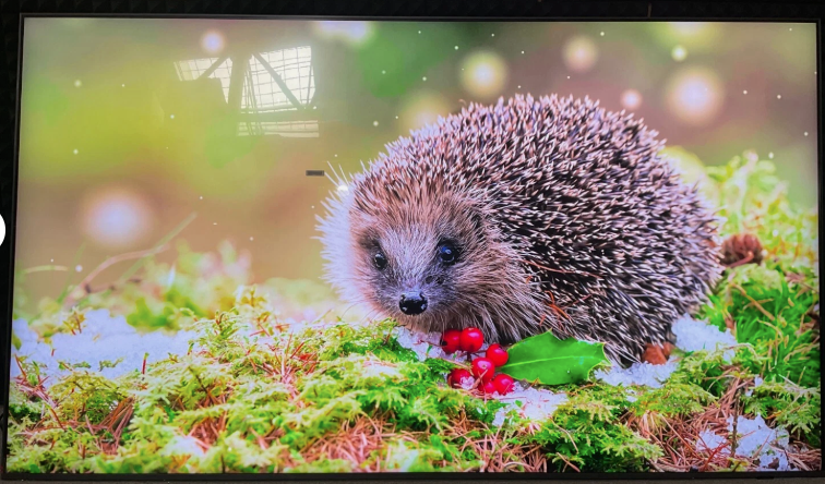 Samsung QN98QN90DA 98" Class QN90D Smart LED-LCD TV QN98QN90DAFXZA
