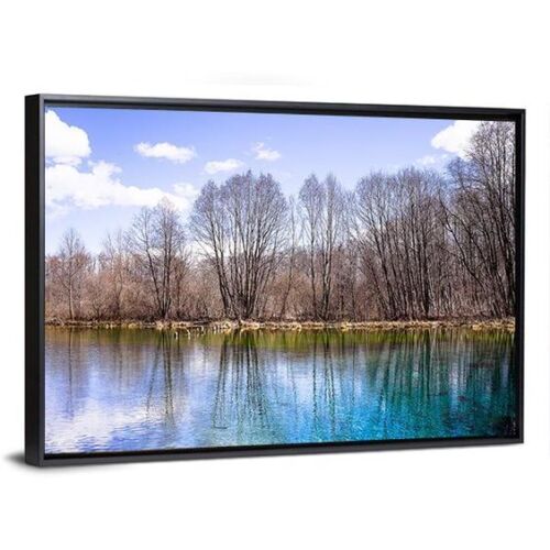 Dragonfly SL-133-HC HDTV High Contrast Projection Screen with Black Velvet Fram