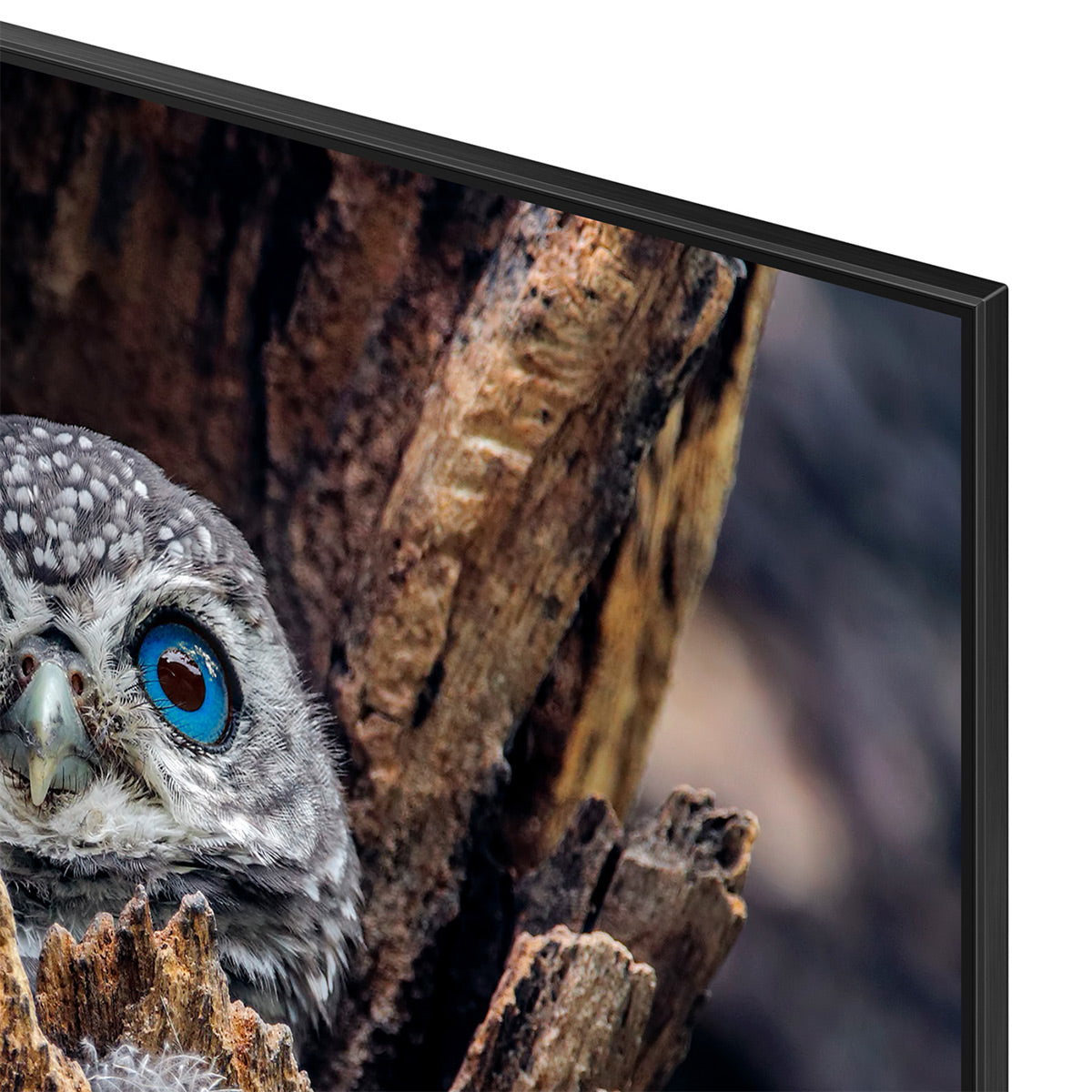Samsung QN85Q80DA Q80D 85" 4K QLED Smart TV with Quantum HDR+ (2024) QN85Q80DAFXZA