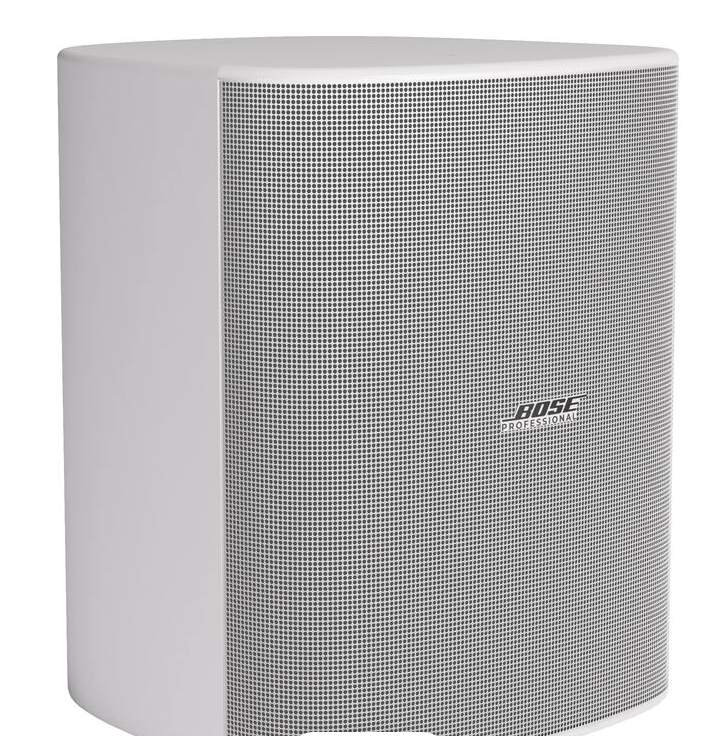 Bose Pro DM12SE DesignMax 12" Passive Surface-Mount Loudspeaker, White (Pair)