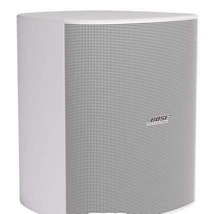 Bose Pro DM12SE DesignMax 12" Passive Surface-Mount Loudspeaker, White (Pair)