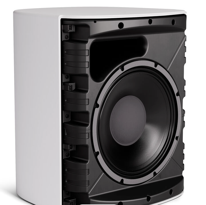 Bose Pro DM12SE DesignMax 12" Passive Surface-Mount Loudspeaker, White (Pair)