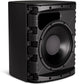 Bose Pro DM12SE DesignMax 12" Passive Surface-Mount Loudspeaker, Black (Pair)