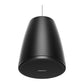 Bose DM3P Black Pendant Loudspeaker Pair, 3.25-inch for Professional Audio