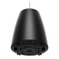 Bose DM3P Black Pendant Loudspeaker Pair, 3.25-inch for Professional Audio