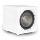 Episode® Evolution Series Sealed 10" White Subwoofer ES-SUB-EVO10-450-WHT